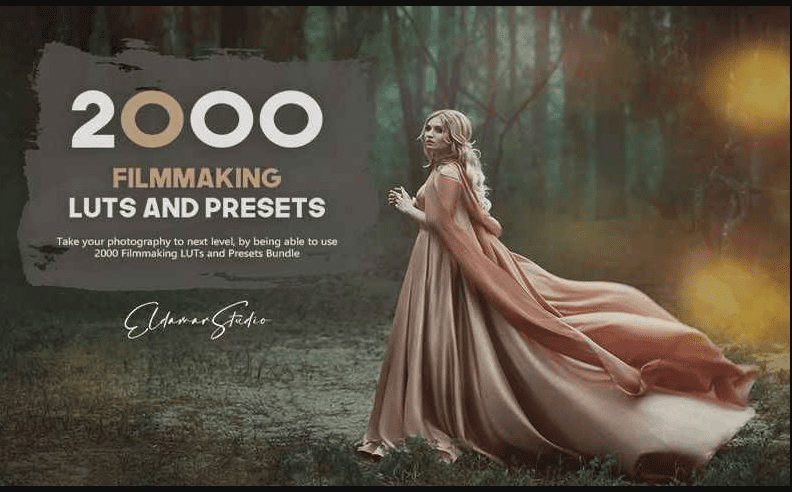 2000 Filmmaking Presets and LUTs Bundle 