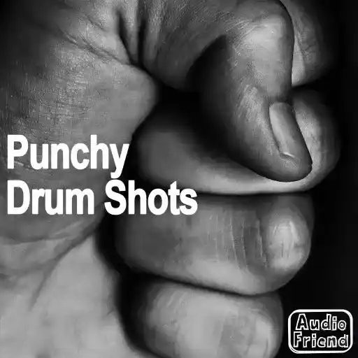 AudioFriend Punchy Drum Shots