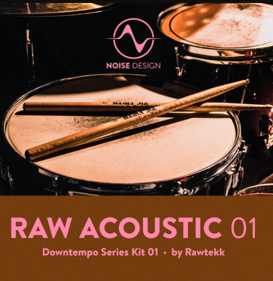 Steinberg Noise Design Raw Acoustic Downtempo 3