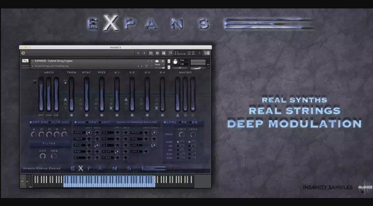 Insanity Samples EXPANSE KONTAKT