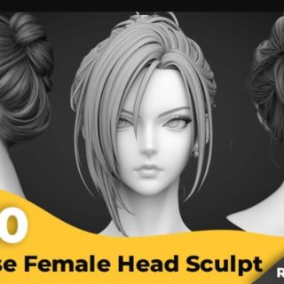 Artstation – +300 Japanese Female Head Sculpt Reference Images(4k)
