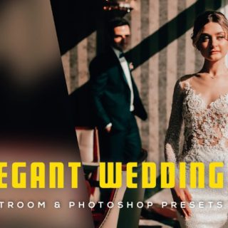 6 Elegant Wedding Lightroom and Photoshop Presets