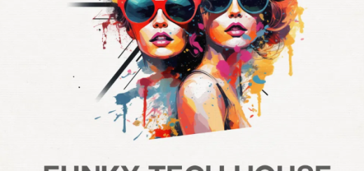 Bingoshakerz Funky and Tech House Anthems 2