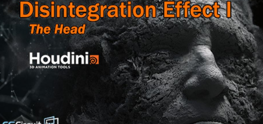 CG Circuit – Disintegration Effect I