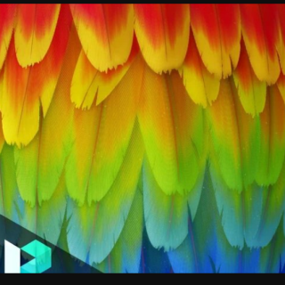 Gumroad – Levelup Digital – Feather Creation | Romain Lemaire