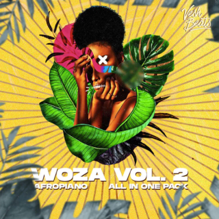 Vesh Beats Woza Vol 2 Amapiano And Afrobeats