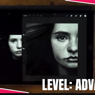 Art With Flo – VIDEO TUTORIAL: Portrait Painting Black & White – Skin texture