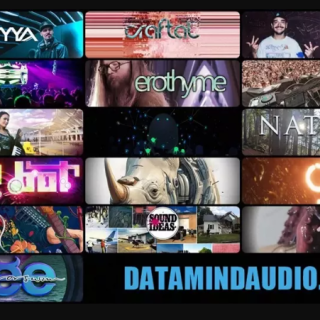 DataMind Audio Combobulator 51 Models Pack