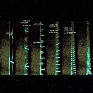 Jonnywood Tone Disruption (drmkt)