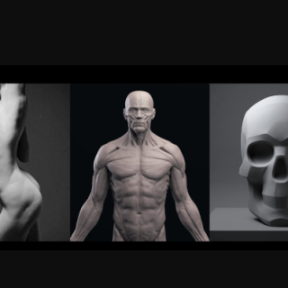 Mold 3D Academy – Artistic Anatomy – Daniel Crossland