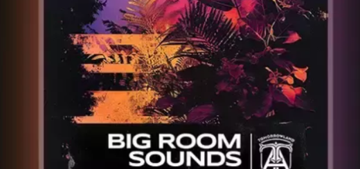 Tomorrowland Academy Sample Pack : Big Room Sounds