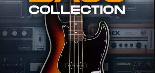 IK Multimedia TONEX Signature Bass Collection TXP