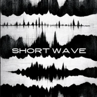 Triumph Audio Short Wave KONTAKT