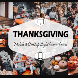 12 Thanksgiving Lightroom Presets