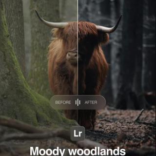 Amar Muric – Moody Woodlands Lightroom Presetsv