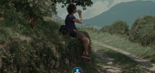 Analogica Lab – ANALOGICA FUJI Powergrade