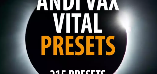 Andi Vax Andi Vax VITAL Bank - 215 Presets VITAL PRESETS