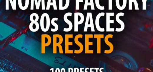 Andi Vax Nomad Factory 80s Spaces Reverb - 100 Presets NOMAD FACTORY 80s SPACES PRESETS