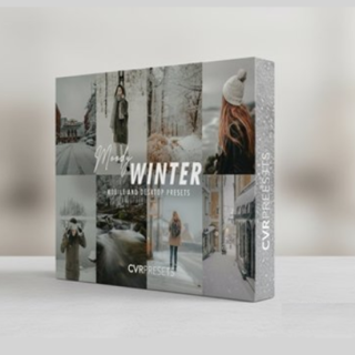 CVRPresets – Moody Winter Lightroom Presets