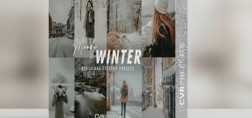 CVRPresets – Moody Winter Lightroom Presets