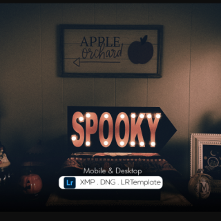 DesignBundles – Spooky Halloween Preset