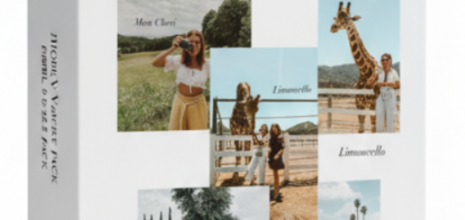 Emily Vartanian – Mobile 2.0 Presets Pack