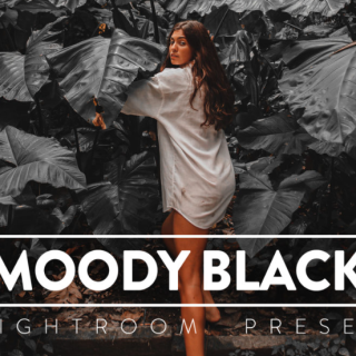 FilterGrade – 10 Moody Black Lightroom Preset
