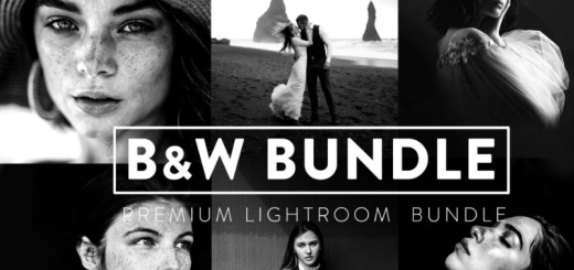 FilterGrade – 60 BLACK and WHITE BUNDLE Lightroom Presets