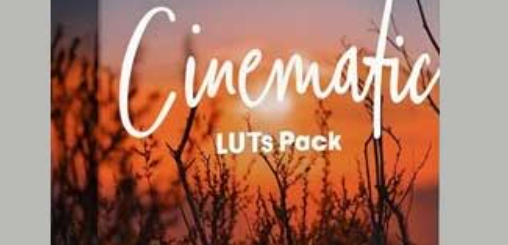 MapleVisuals – 12 Cinematic LUTs Pack