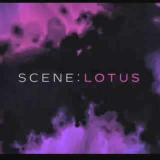 Native Instruments Scene Lotus
