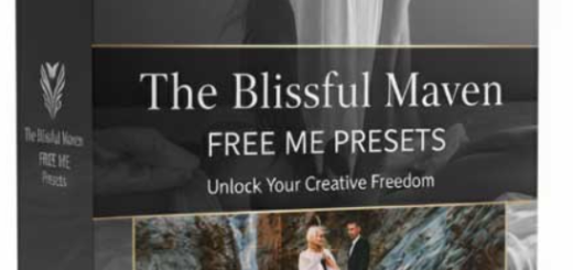 The Blissful Maven – Free Me Presets