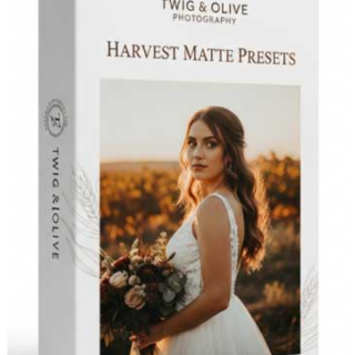 Twig & Olive Photography – Harvest Matte Presets