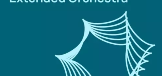 VSL Vienna Symphonic Library Studio Special Edition Vol. 2 for Synchron Player