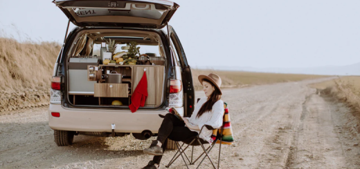 Vivid Presets – LIFESTYLE COLLECTION