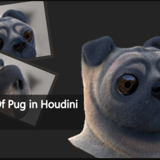 Artstation – Grooming Of Pug In Houdini
