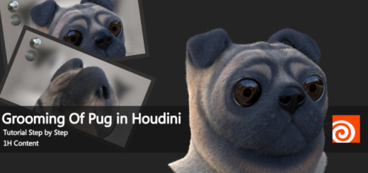 Artstation – Grooming Of Pug In Houdini