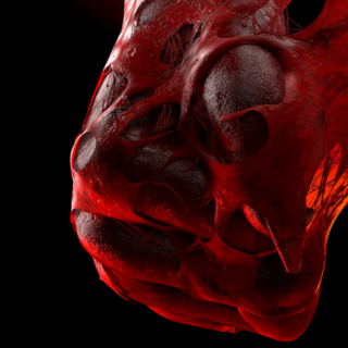 DoubleJump Academy – Recreating the Flesh Portal in Houdini