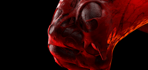 DoubleJump Academy – Recreating the Flesh Portal in Houdini