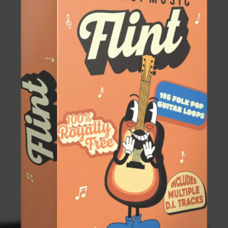 Make Pop Music Flint (Folk Guitar Loops)