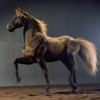 Rebelway – Creature Rigging in Houdini