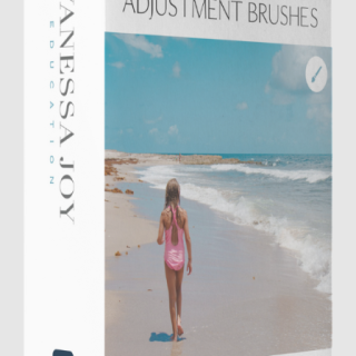 Vanessa Joy – The Adjustment Brushes Kit for Lightroom