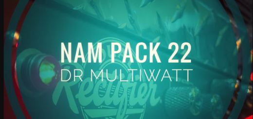 mirrorprofiles NAM Amp Pack 22 DR MULTIWATT