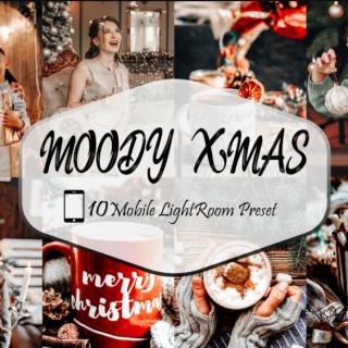 Filtergrade – Moody Xmas Lightroom Presets
