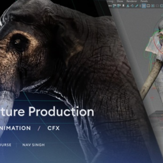 Gumroad – 3D Creature Production – Rigging, Animation and CFX