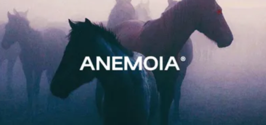 Sapjer Anemoia Soundkit