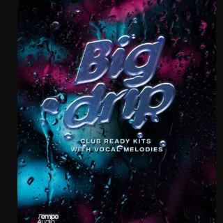 Tempo Audio Group Big Drip