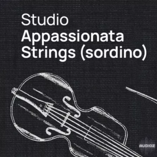 VSL Vienna Symphonic Library Studio Studio Appassionata Strings (Sordino) for Synchron Player