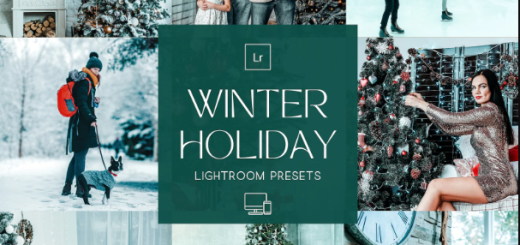 Winter Holiday Lightroom Presets